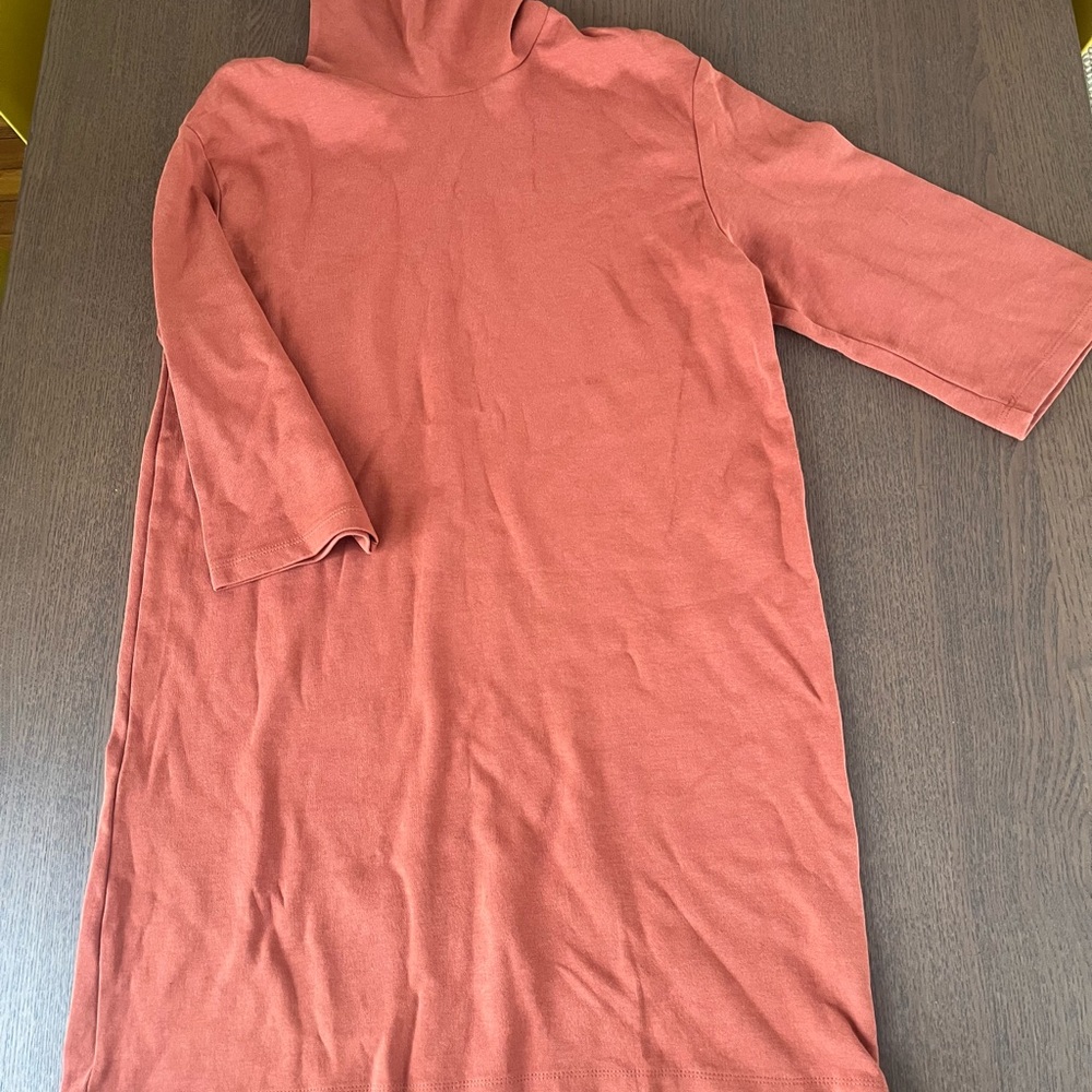 Zara Terracotta Turtleneck Top